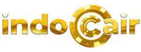INDOCAIR logo
